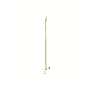 Saben Feature Handle Chain Gold Box